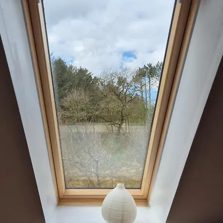 A Hidden Gem In The Woods Holiday home
